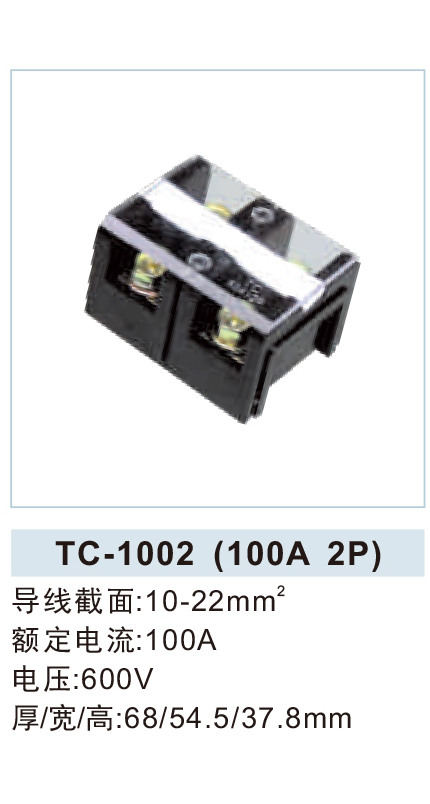 TC-1002 (100A 2P).jpg1.jpg